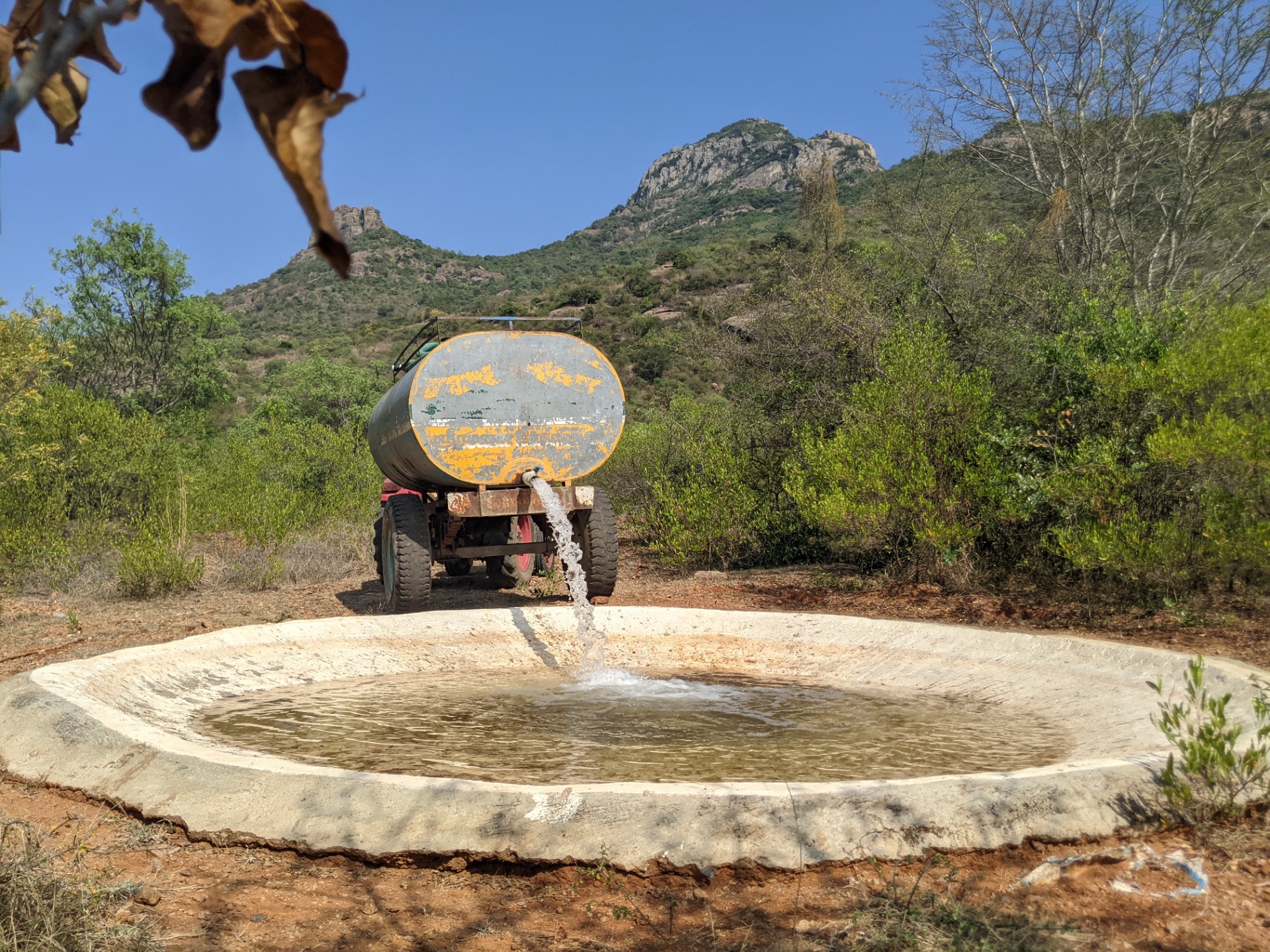 Wildlife Water Project — 3