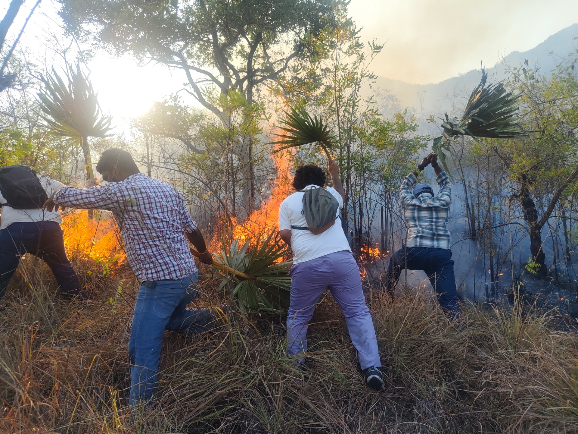 Forest Firefighting — 2