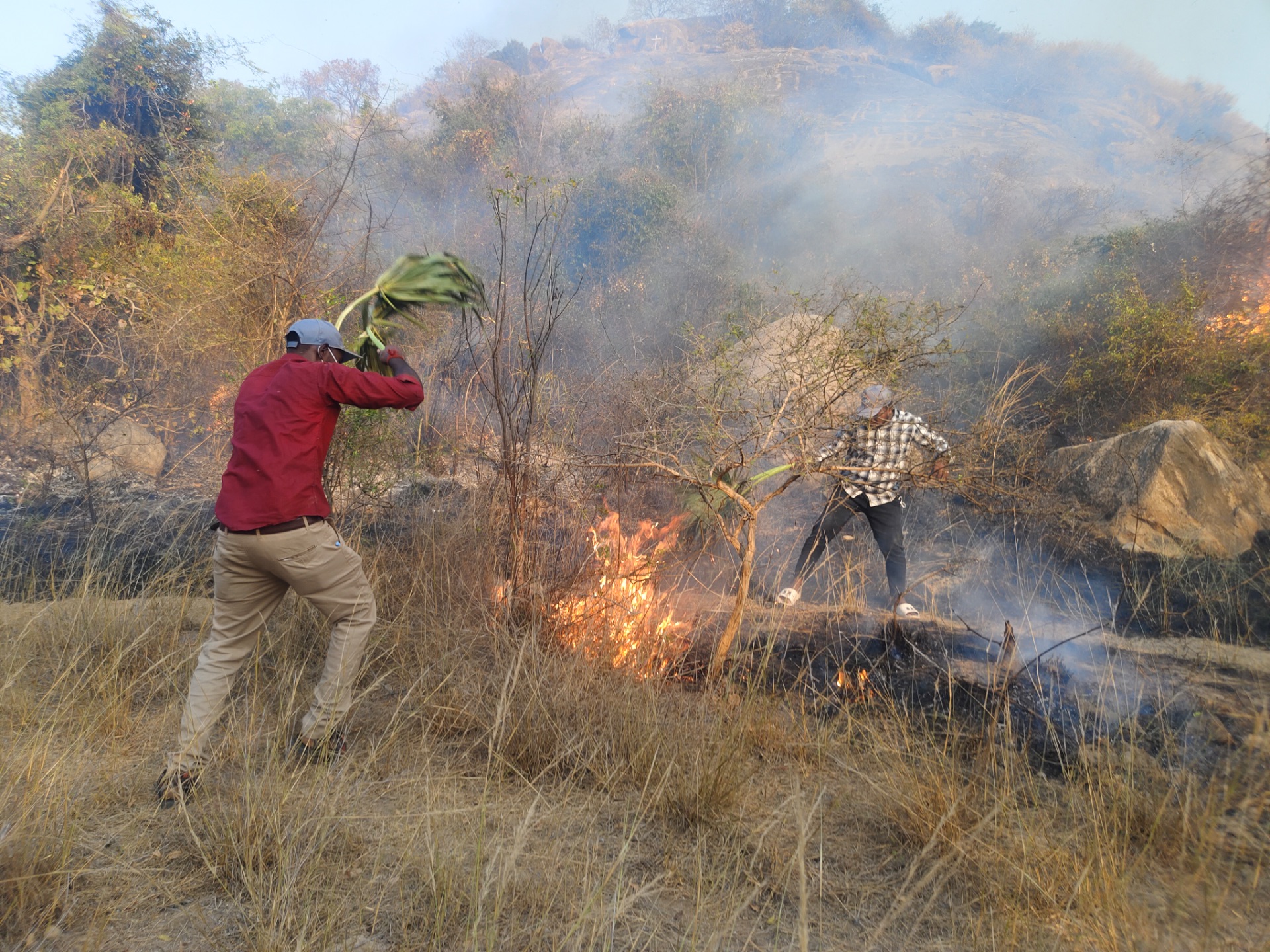 Forest Firefighting